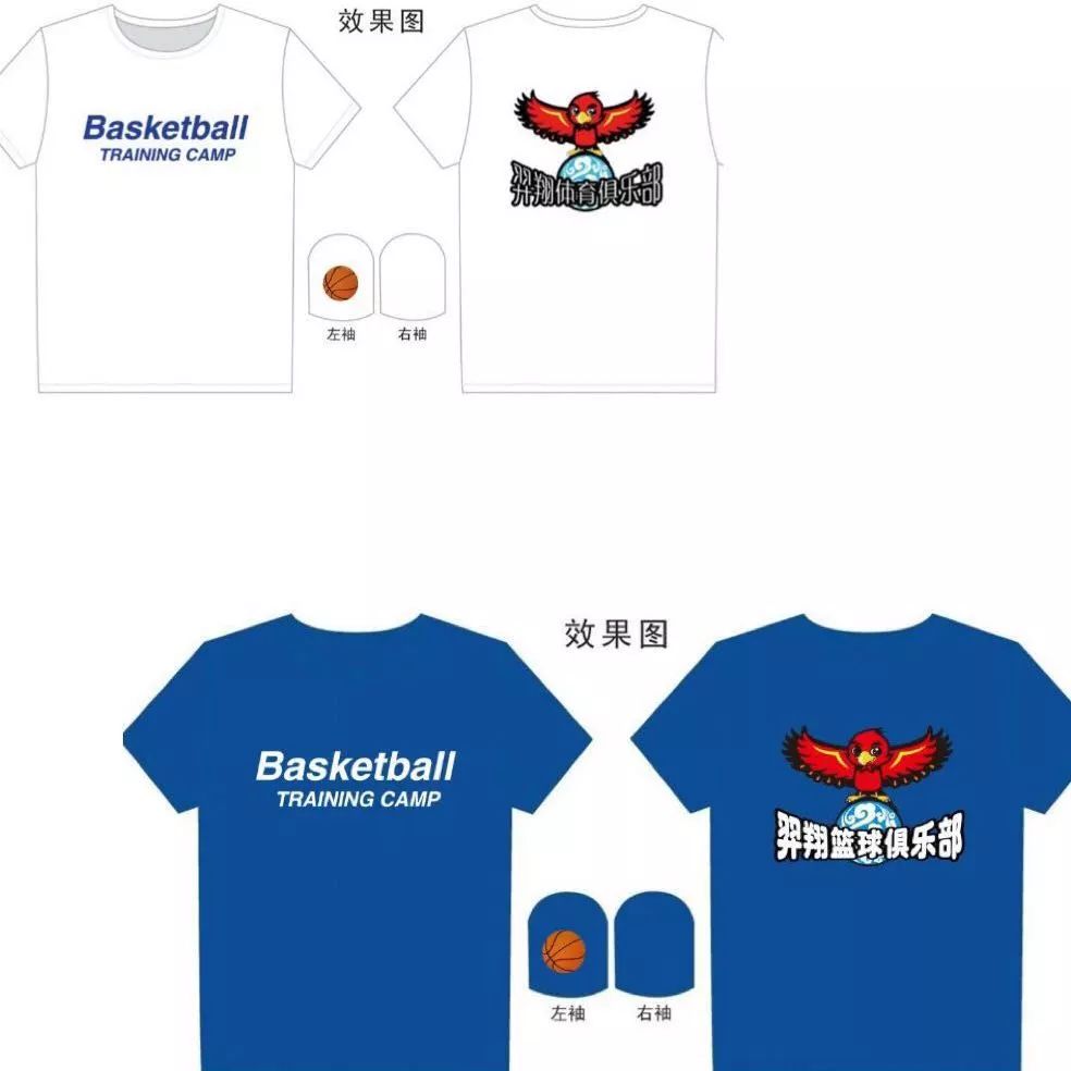 篮球协调训练的成功案例分析_2